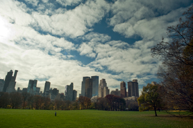 On Sheep Meadow