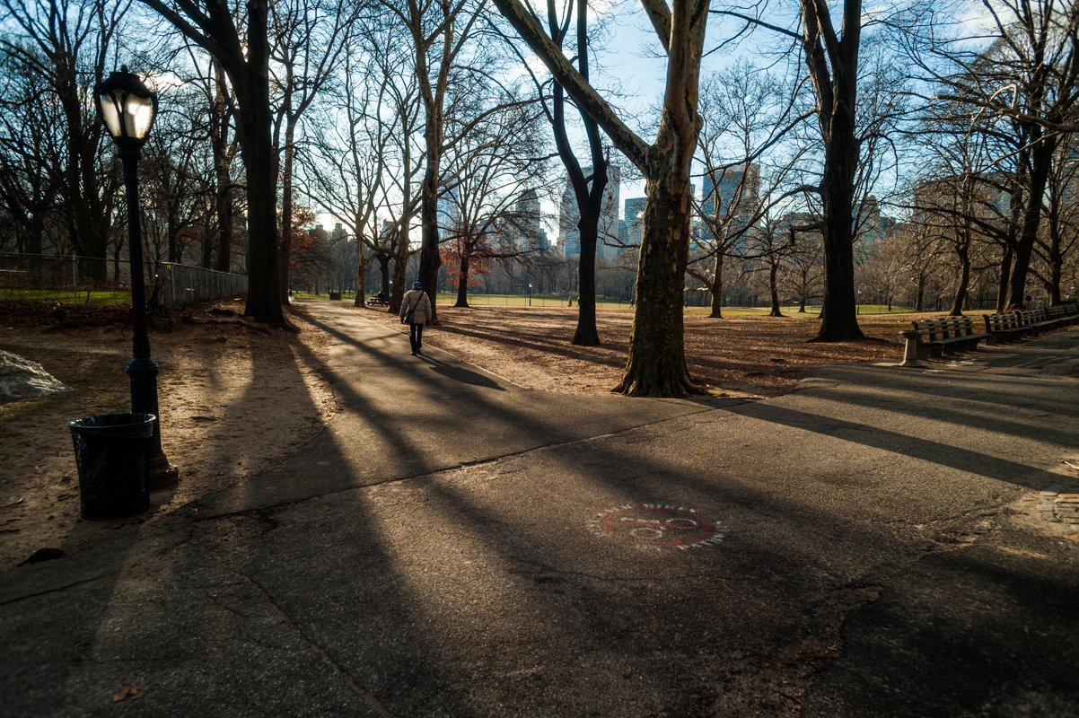 Path to the Light, Central Park.