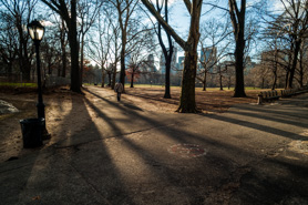 Path to the Light, Central Park.