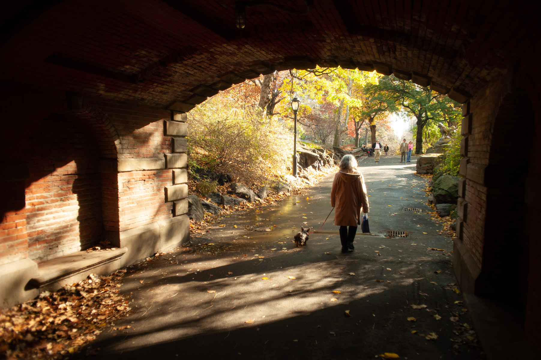 Under the Willowdell Arch