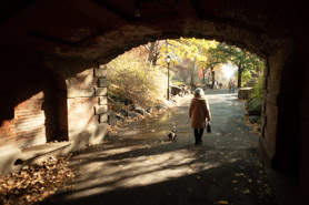 Under the Willowdell Arch