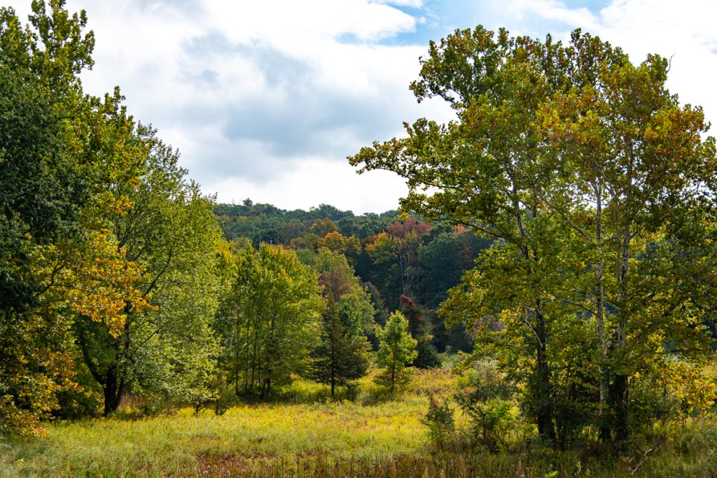 Bull Mill Road, Monroe, NY at the beginning of fall.