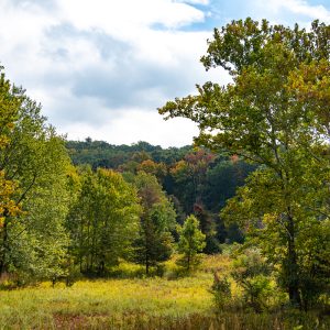Bull Mill Road, Monroe, NY at the beginning of fall.