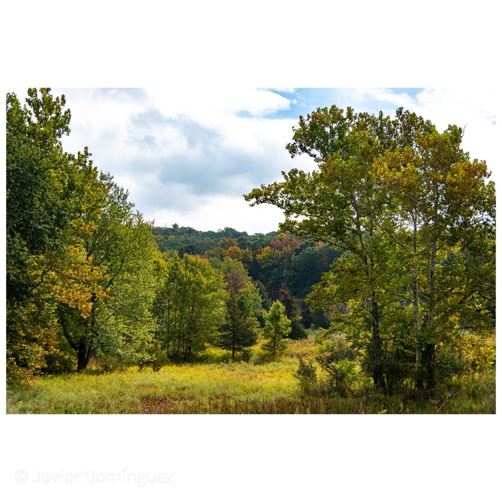 Bull Mill Road, Monroe, NY at the beginning of fall.
