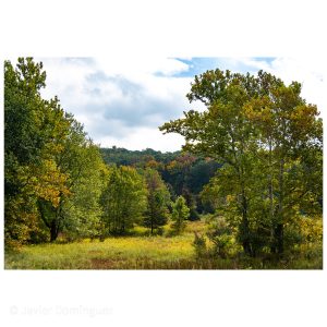 Bull Mill Road, Monroe, NY at the beginning of fall.